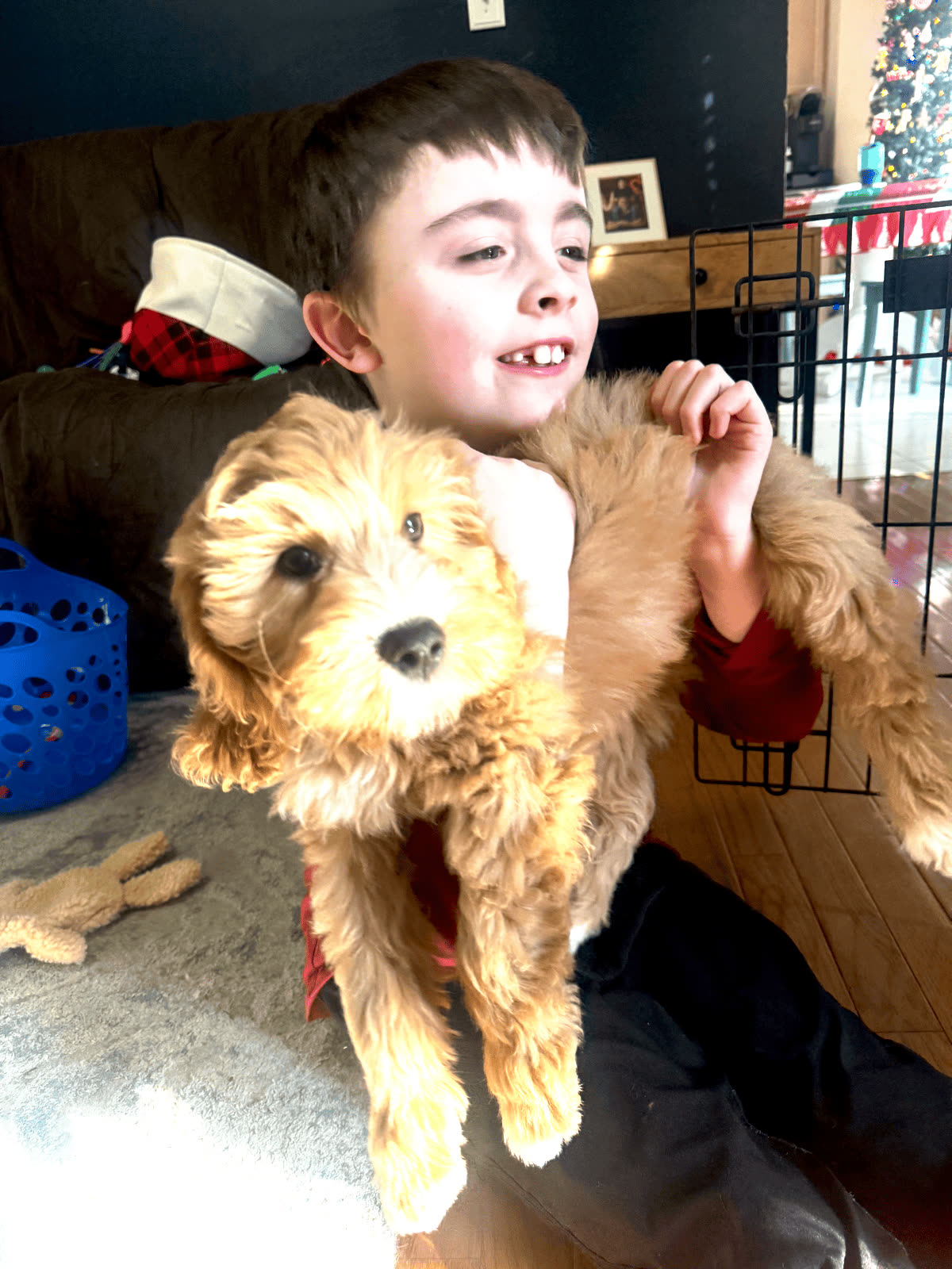 A child smiling while holding a young dog